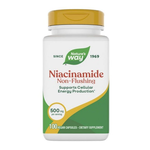 Niacinamide 100 Veg Caps by Nature's Way